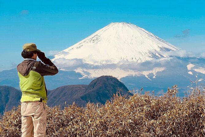 Traverse Outer Rim of Hakone Caldera and Enjoy Onsen Hiking Tour - Additional Tour Highlights and Inclusions