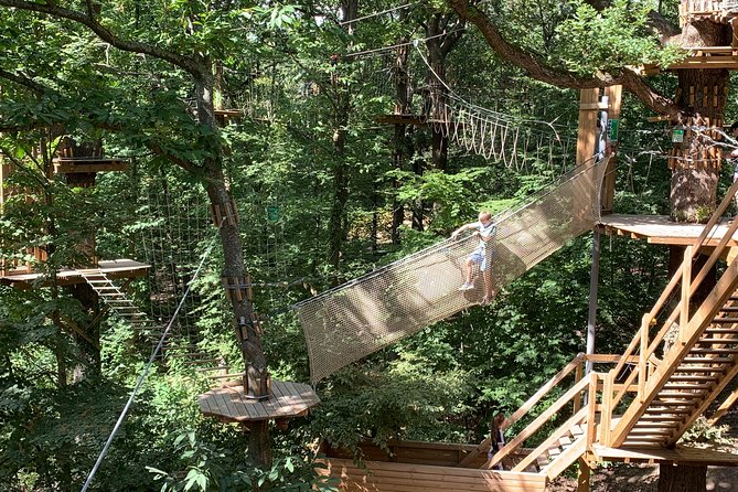 Tree Top Adventure in Forest of Meudon - Booking and Cancellation Procedures