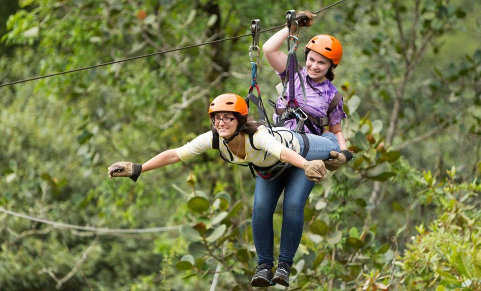 Triple Adventure; Buggies, Waterfalls and Ziplines - Monkeyland Tour Information