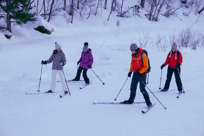 Tromso Cross Country Skiing for Beginners (Mar ) - Essential Gear Requirements