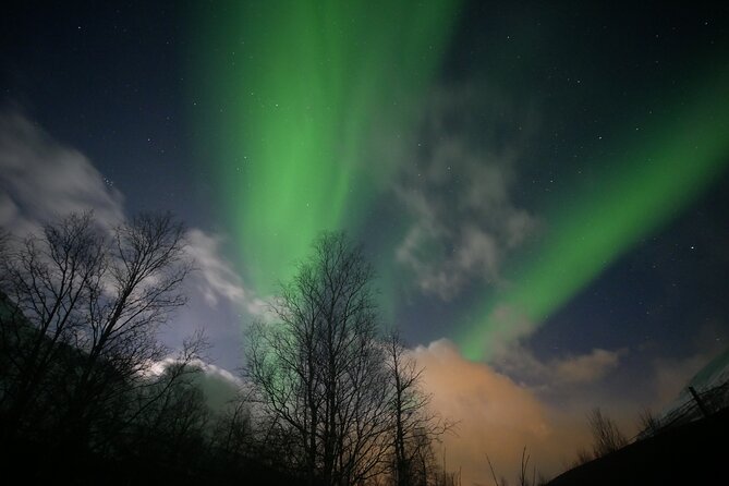 Tromsø Northern Lights Tour  - Tromso - Tour Highlights and Experience Offered