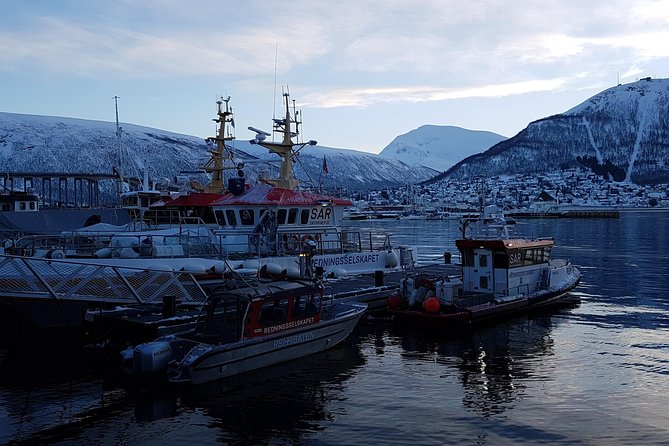 Tromso: Private City Walking Tour - Tour Questions and Inquiries