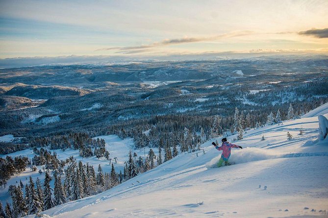 Trondheim Forest Sledding and Tram Tour - Common questions