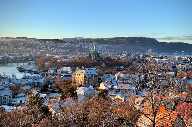 Trondheim Private Walking Tour - Common questions