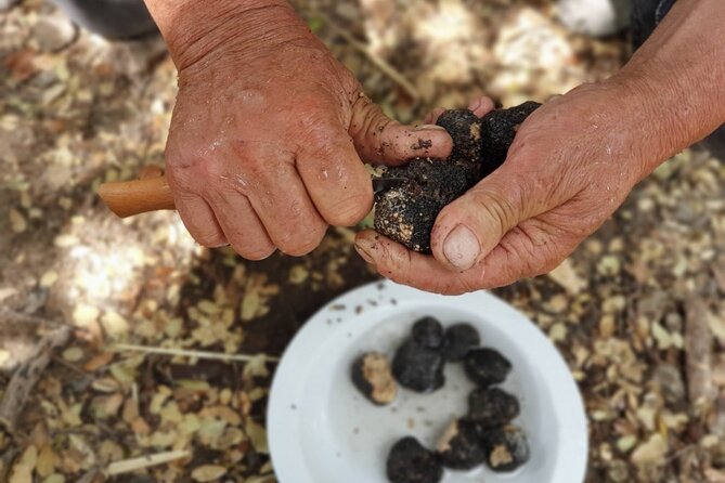 Truffle Hunting, Culinary & Wine Celebration From Heraklion - Insider Tips for a Memorable Trip