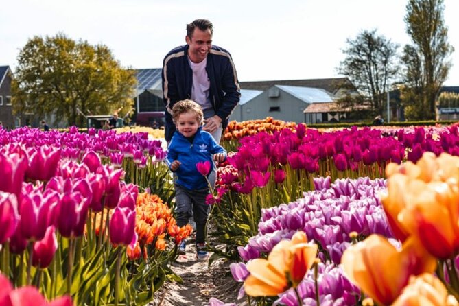 Tulip Mania: Keukenhof , Tulip Farm, and Amsterdam Transfer - Learn About Flower Bulb Farming