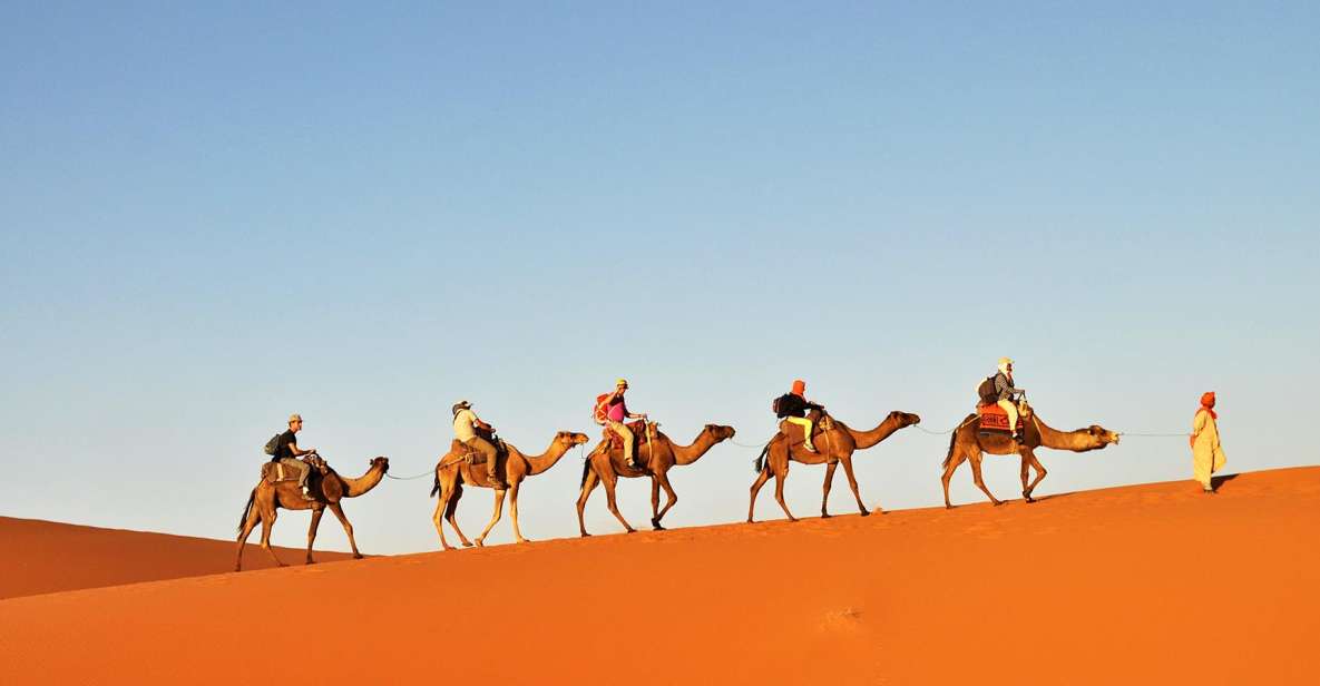 Tunisia: 3-Day Sahara Desert Camel Trek From Douz - Booking Information