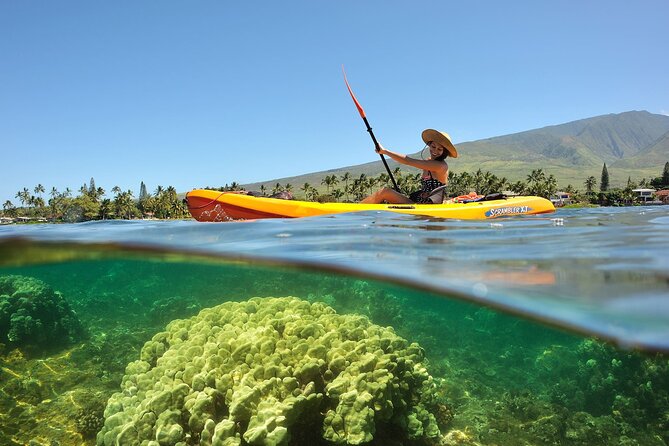 Turtle Reef Kayak Tour of Makena, Maui - Additional Information