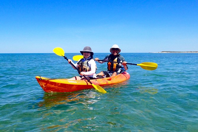 Turtle Tour - Ningaloo Reef Half Day Sea Kayak and Snorkel Tour - Traveler Photos and Reviews