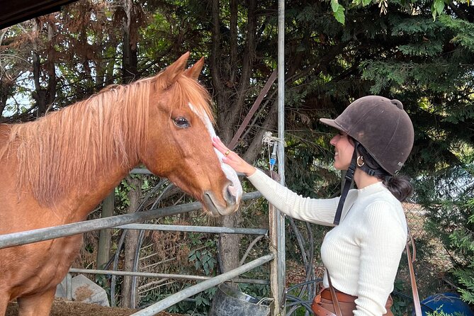 Tuscan Chianti Hills Horseback Riding Tour - Facilities and Setting