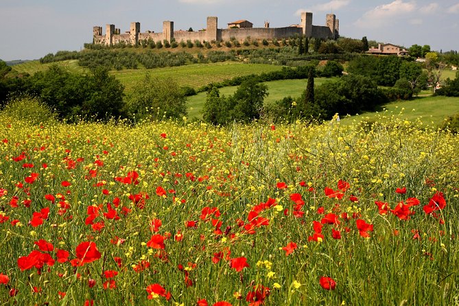 Tuscany Hiking Tour From Siena Including Wine Tasting - Last Words