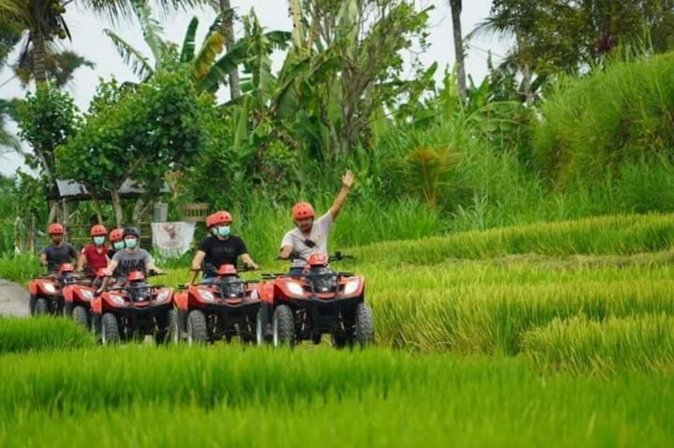 Ubud: Best of ATV Quad Bike Adventure - Adventure Experience