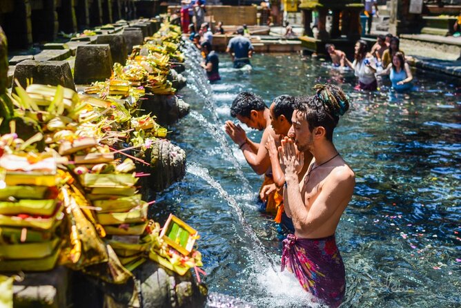 Ubud DayTrip : Monkey Forest - Rice Terrace - Jungle Swing - Water Temple - Traveler Photos