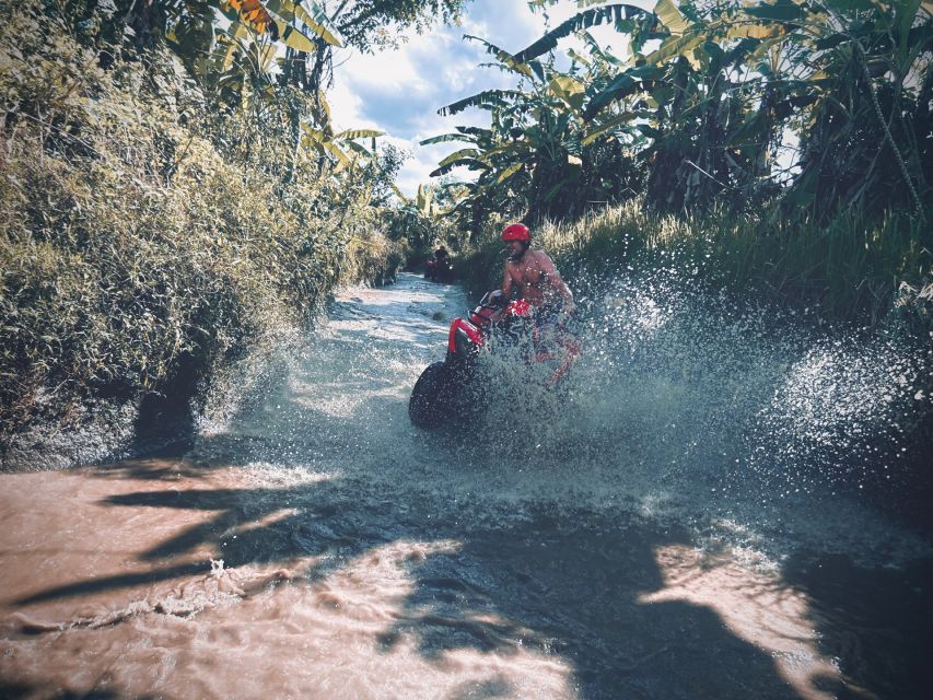 Ubud: Gorilla Face ATV & Batur Natural Hotspring With Lunch - Booking Details