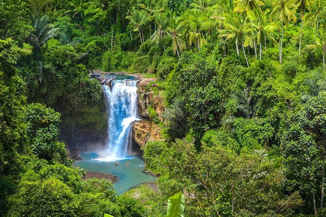 Ubud: Monkey Forest, Jungle Swing, Rice Terrace, and Water Temple - Tour Highlights and Experiences