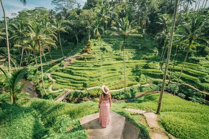 Ubud Private Full-Day Highlights: Temples, Swing, and Monkeys  - Seminyak - Traveler Reviews