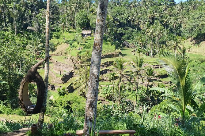 Ubud Private Tour All Inclusive. - End of Tour and Cancellation Policy