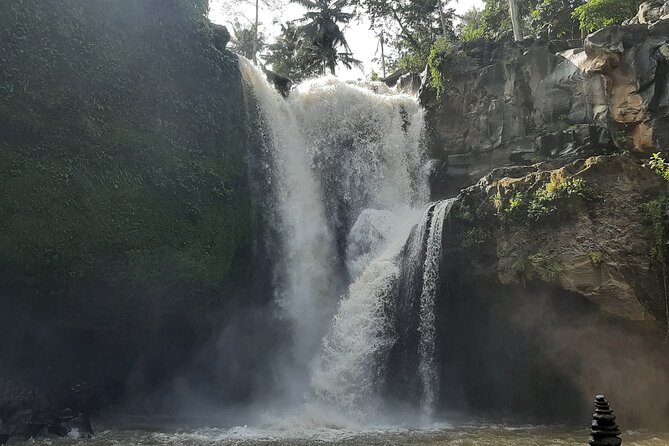 Ubud Private Transport-Only Tour With Stop at Rice Field Swing - Inclusions