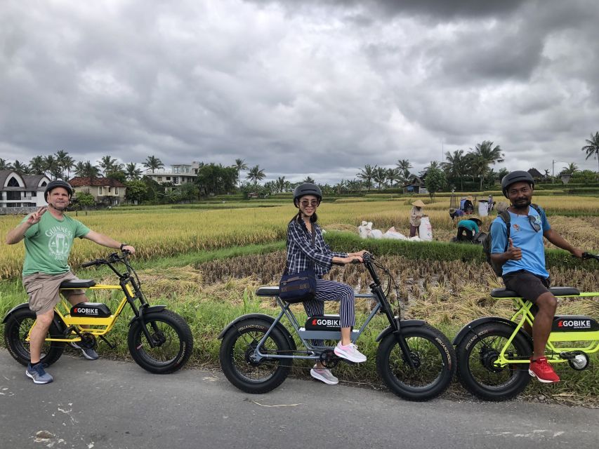 Ubud: Rice Terraces & Villages Half-Day Fat Tire E-Bike Tour - Overall Experience