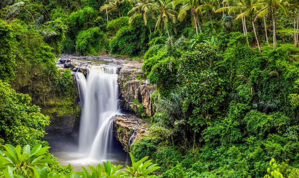 Ubud: Spectacular Waterfalls Tour - Tour Description