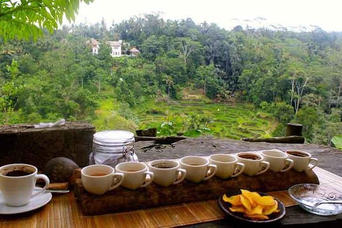 Ubud Trip, the Best of Ubud in a Day - All Inclusive - Visual Experiences and Testimonials