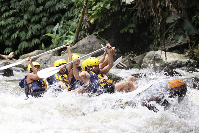 Ubud White Water Rafting, Rice Terrace and Jungle Swing - Tour Pricing