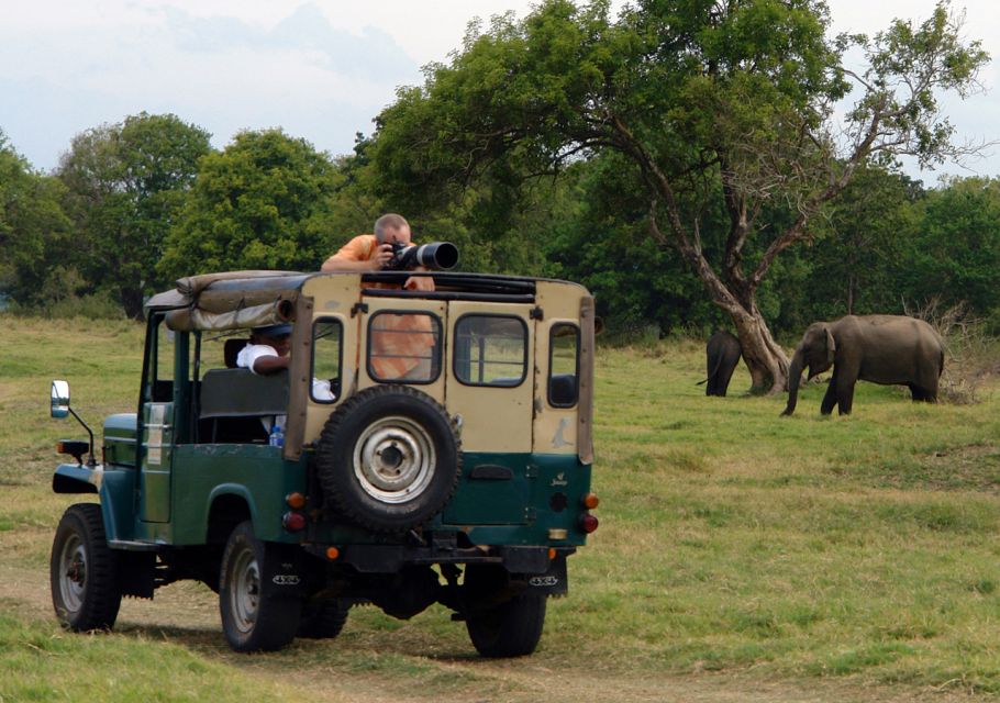 Udawalawe National Park Private Full-Day Safari - Location Information