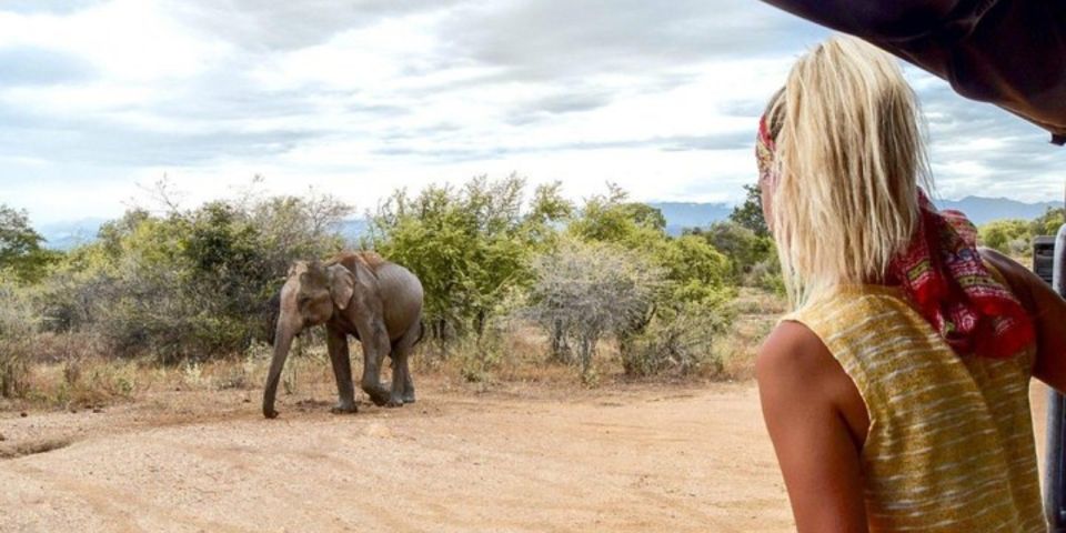 Udawalawe: Safari & Elephant Transit Home Visit With Lunch! - Booking and Payment