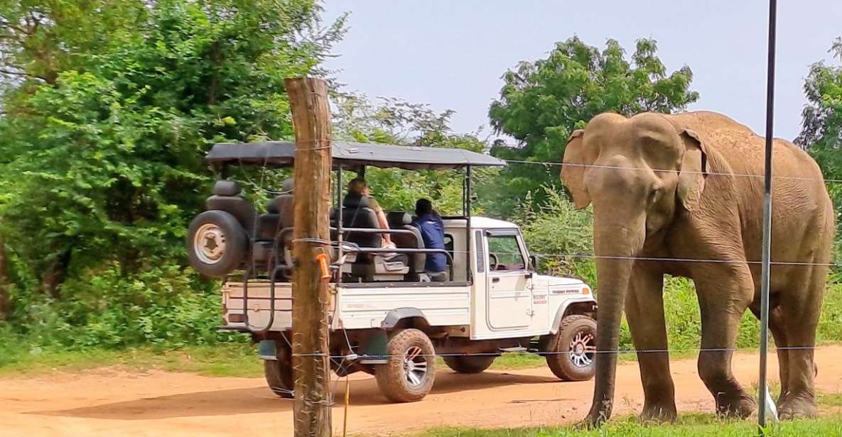 Udawalawe Safari Tour - Additional Information