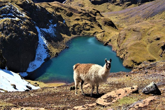 Ultimate Lares Trek & Inca Trail 5 Days - Support & Contact Information