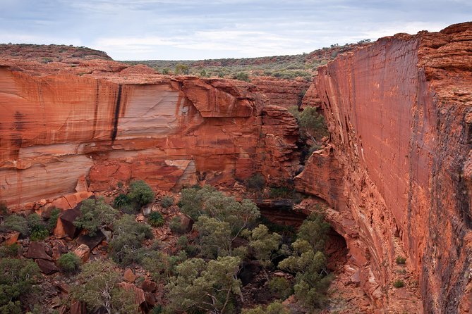 Uluru, Kata Tjuta and Kings Canyon Camping Safari From Alice Springs - Concerns and Suggestions