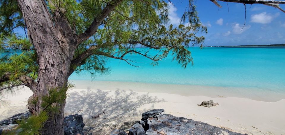 Unforgettable Land Tour on Long Island Bahamas - Unique Experience Details