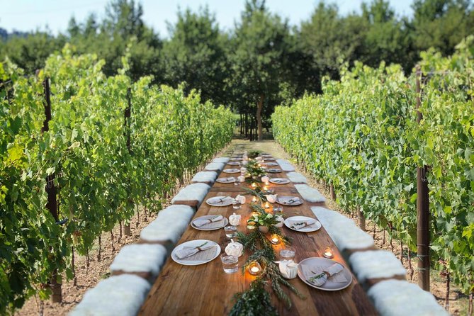 Unforgettable Lunch in the Vine Rows in Tuscany - Explore the Vineyards Rich History