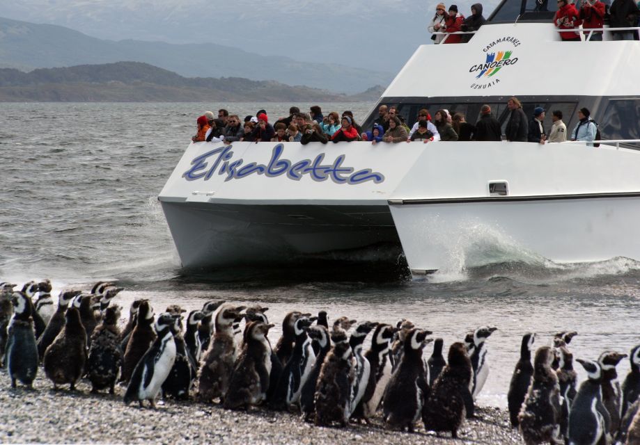 Ushuaia: Penguin Watching Tour by Catamaran - Inclusions