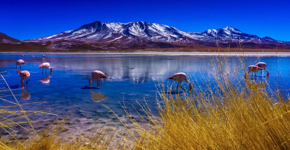 Uyuni Salt Flat - Colored Lagoons Tour - 3 Days/2 Nights - Common questions