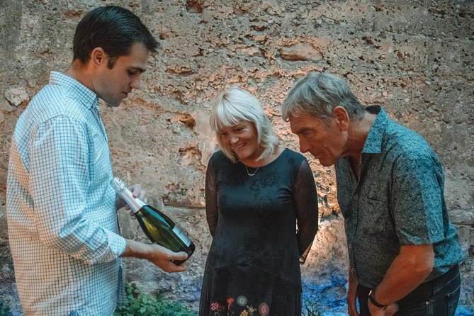 Valencia Old Town Tour With Wine & Tapas in 11th Century Historic Monument - Insights on Tour Guides