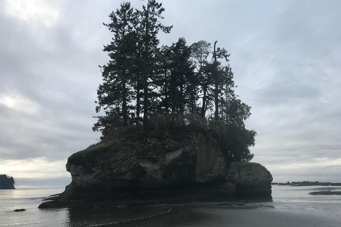 Viator Exclusive Tour- Olympic National Park Tour From Seattle - Customer Reviews on Kevins Expertise