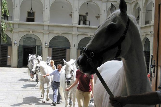 Vienna at First Glance a Private Walking Tour for First Timers - Tour Highlights and Customer Satisfaction