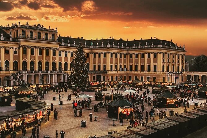 Vienna Christmas Market Tour With Private Local Guide - Contact Information