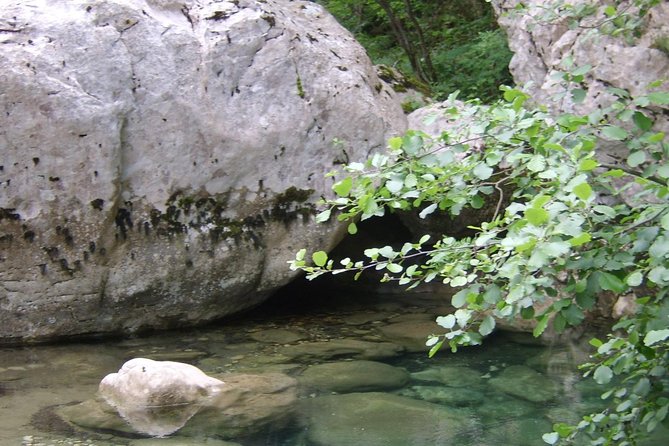 Vikos Gorge Daily Hike - Cancellation Policy