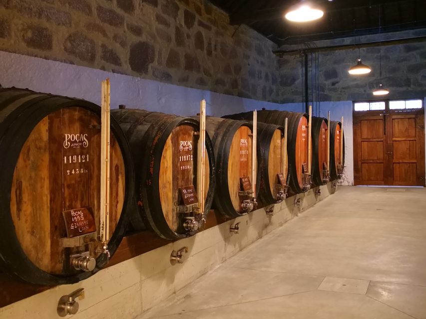 Vila Nova De Gaia: Tour, 2 DOC Douro Tasting, & 1 Port Wine - Port Wine Pairing