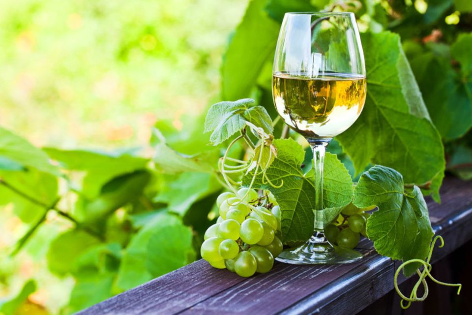 Vinho Verde Full-Day Premium Wine Tour - Tour Itinerary