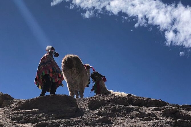 Vinicunca Rainbow Mountain Tour Including Breakfast & Lunch From Cusco - Pricing Details