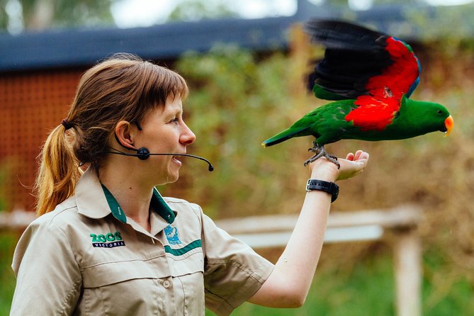 VIP Sanctuary Tour at Healesville Sanctuary - Excl. Entry - Rating Breakdown