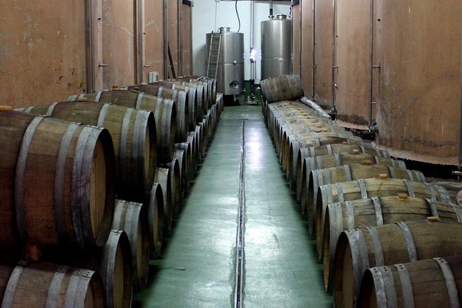 Visit Bodegas Teneguía Winery in La Palma With Wine Tasting - Additional Resources and Pricing