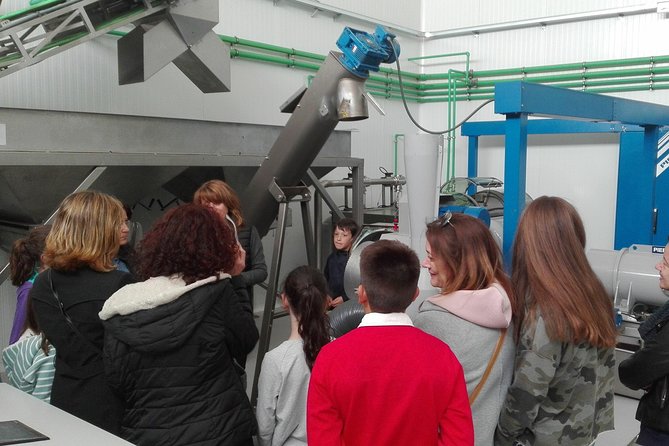 Visit to the Oil Mill With EVOO Experiences in Cuenca - Refund and Cancellation Details