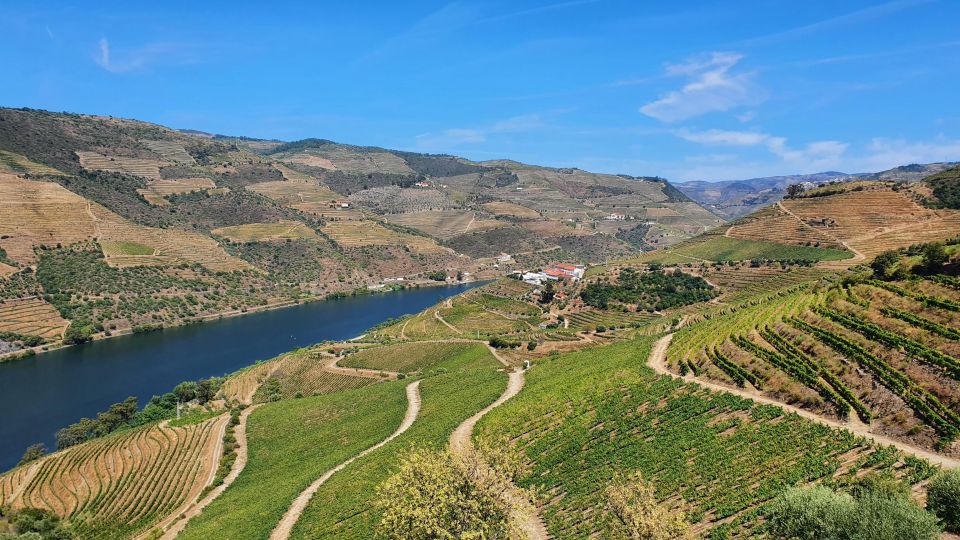 Visitors With Reduced Mobility Can Visit the Douro Valley From Porto - Important Information for Mobility-Impaired Guests