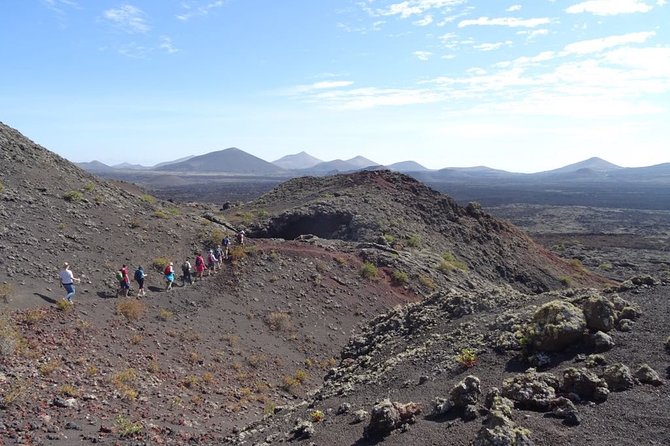 Volcano Hike in Lanzarote With Hotel Pickup - Volcanic Landscapes and Learning Opportunities