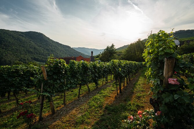 Wachau Valley Vines: A Culinary and Cultural Private Experience - Booking Information