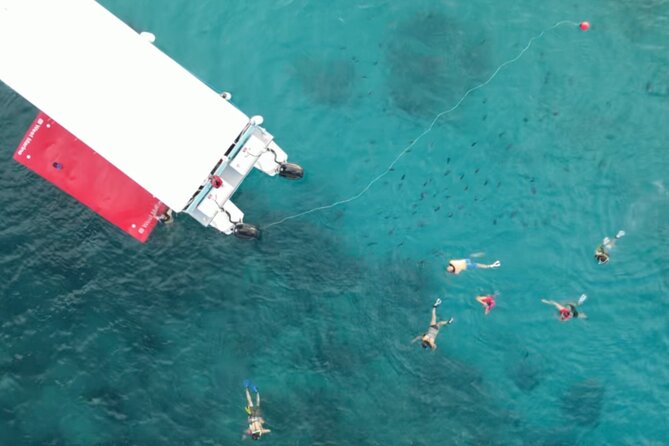 Waikiki Snorkel Tour - Viators Additional Support and Information